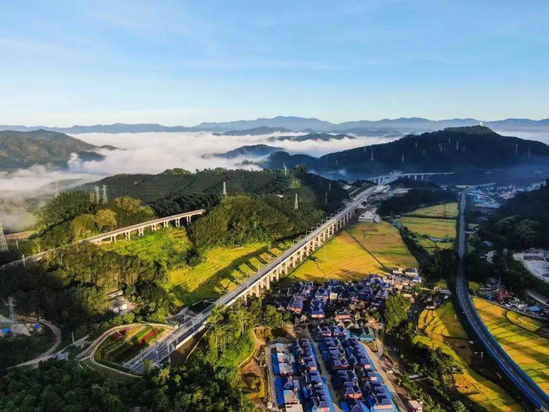 勐腊这十年:交织成网 遍地开花!