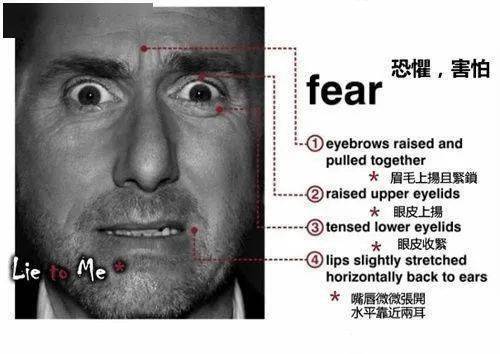 微表情识别读脸读心图片