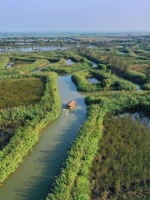 抓住暑期的小尾巴,快带上孩子到泗洪洪泽湖湿地景区来一场亲子游吧!