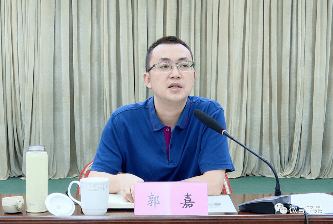 平果市人民政府市长郭嘉讲话郭嘉要求,要盯紧目标全局谋划,以精雕细琢