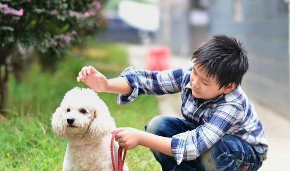 如何在1分钟之内判断一个人有没有养狗？_&_狗狗_nbsp
