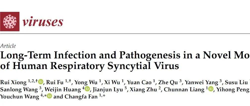 Viruses|我国科学家成功建立一种对人类呼吸道合胞病毒高度易感的基因敲除小鼠模型_评价_病毒_Viruses