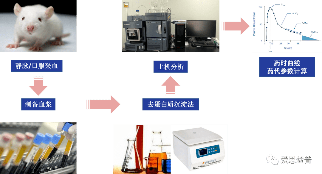 之成藥性評價基礎篇——藥物的分析_藥代動力學檢測_生物_進行_化合物