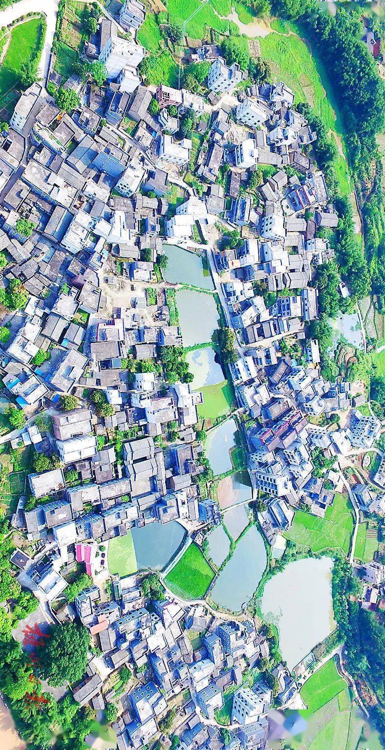 近年来,作为国家生态文明建设示范县的蒙山县,坚持"生态立县"发展战略