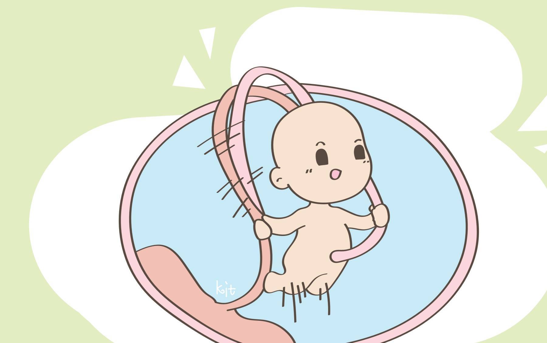 胎儿脐带绕颈图片