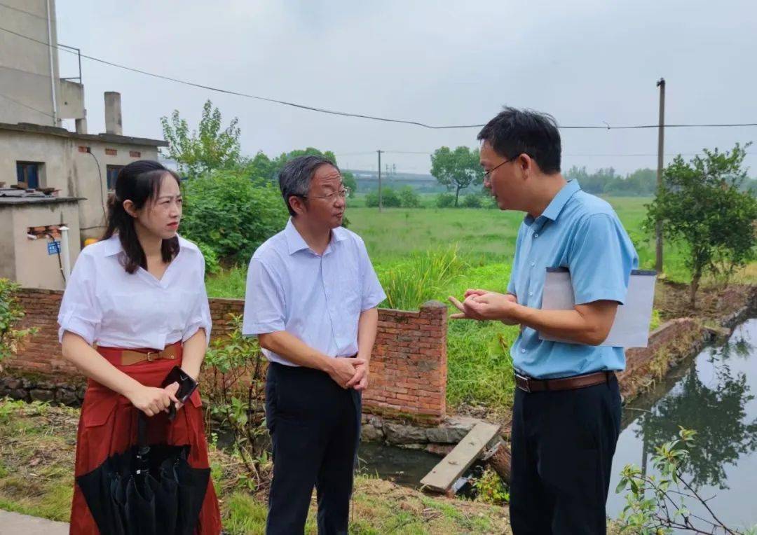 陈海俊一行先后来到火龙街道善瑞村代村中心村,新联村东埂自然村,白马