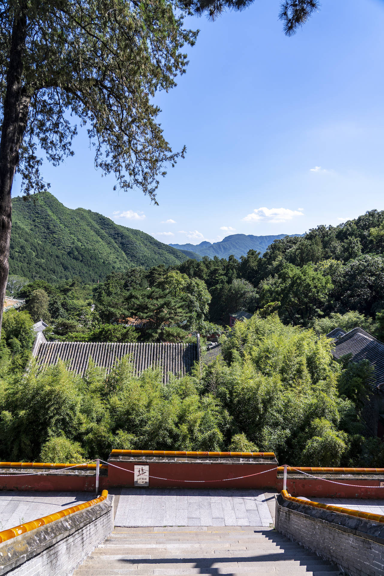 门头沟潭柘寺枪击案图片