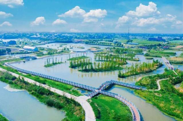 上海首个“两山”基地：做好“水”上文章 绘就乡村振兴画卷