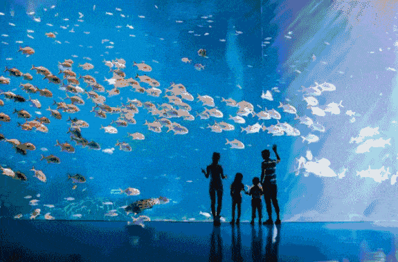 【长隆周年庆】国旅带你走进 61 珠海长隆海洋王国 任玩各种机动