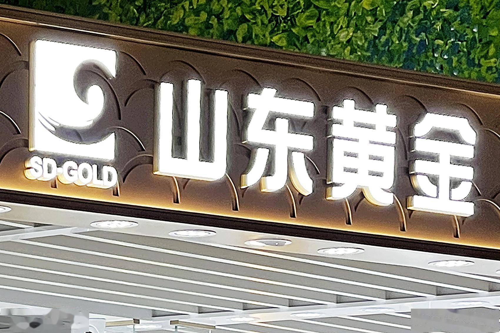 山东黄金强势反转营收近300亿 量价齐升矿产金量翻倍创新高_公司_同比