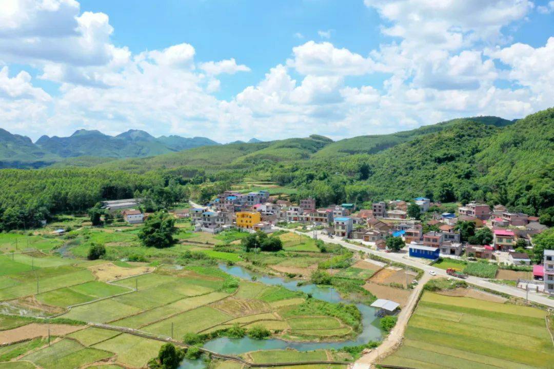 东田镇桃园村图片