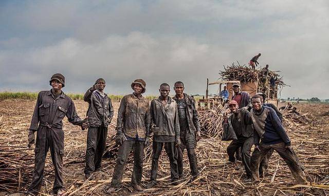 残暴程度远超人类底线的塞拉利昂内战_福迪·桑科_暴行_叛军