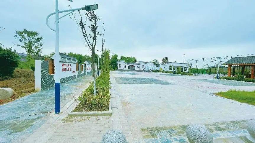 新马桥镇:打造美丽苏湖,共建美好家园_建设_湖村_群众