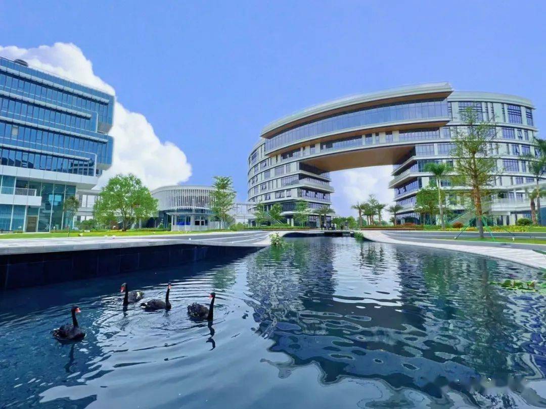 港科大(广州),南沙民心港人子弟学校,明天双双开学!_校园_景观_建设