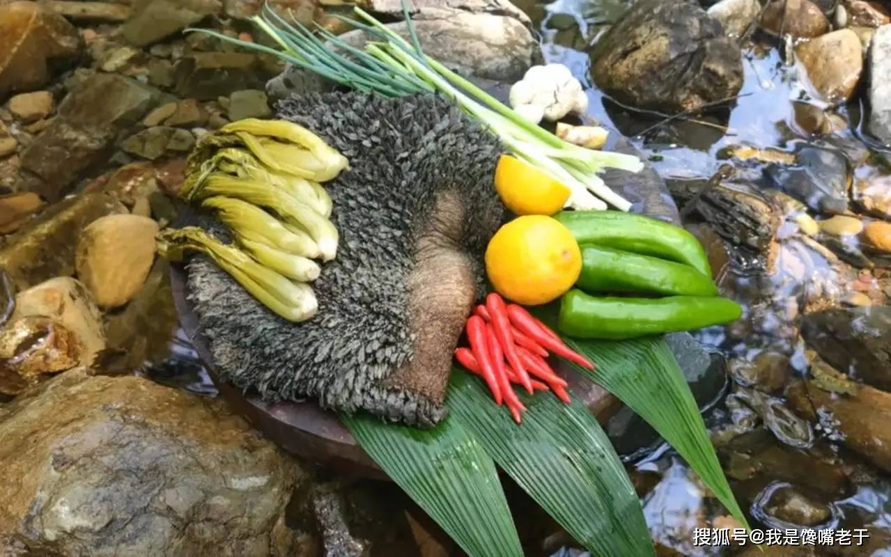 山东5大"怪菜",都是当地人的心头爱,广东人表示:比我们敢吃_老于_朋友