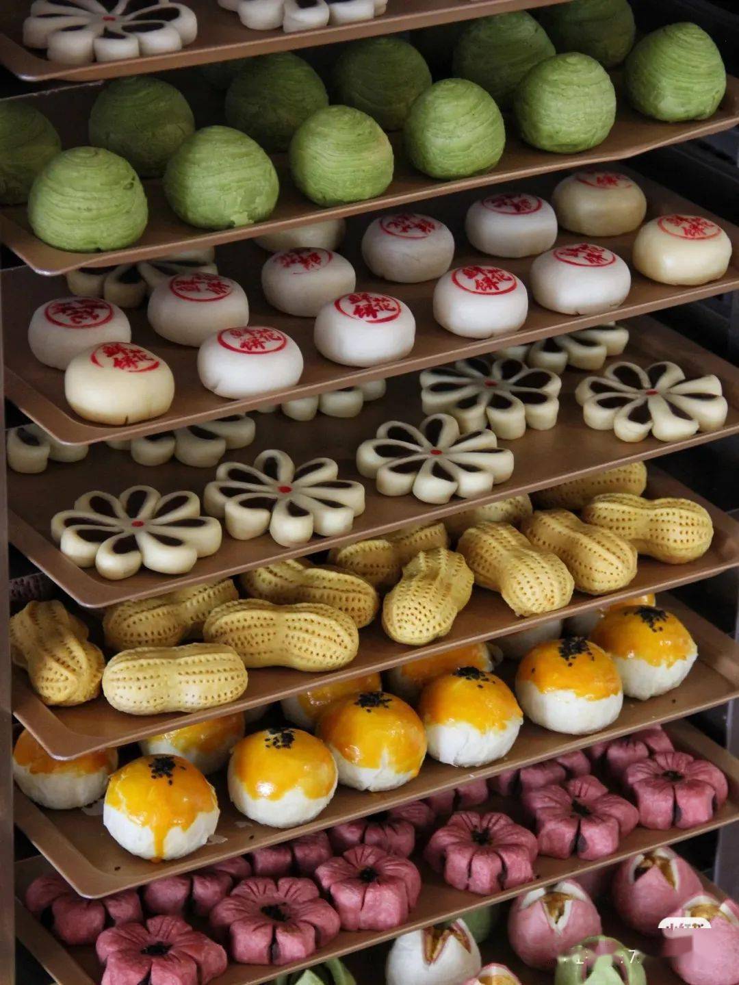 桐乡市_非遗_嘉善