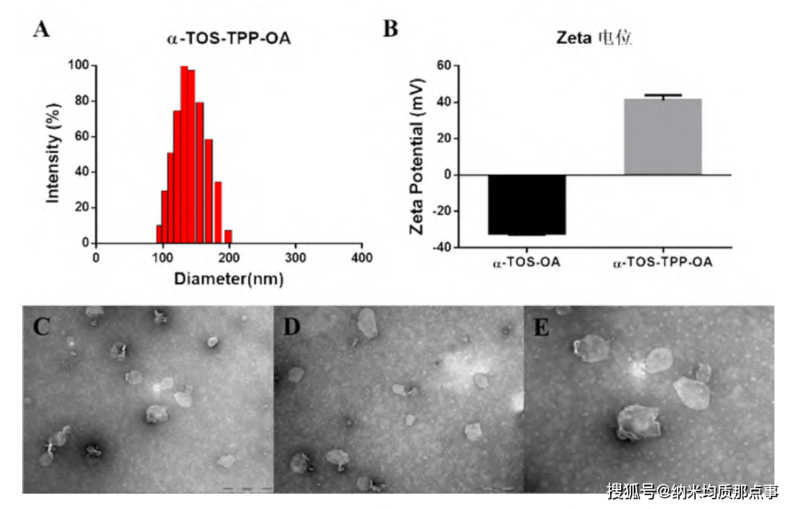 制备齐墩果酸线粒体靶向脂质体,以实现药物的靶向性并提高其抗胰腺癌