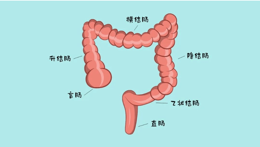 重视身体上的小细节,有时候可以拯救生命 ——浅谈便