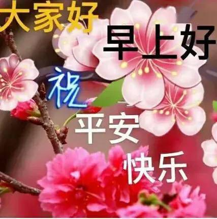 祝福简单诚意在🌾虽然不见牵挂在🌾一句你好全都在🌾大家早上好
