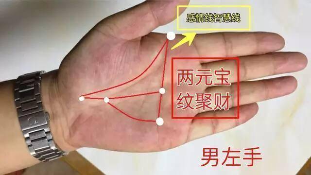 男孩断手掌纹路图解图片