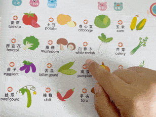 让宝宝超专注,玩不腻的小玩具来啦,二十几块就能拿下_力士_启蒙_能力