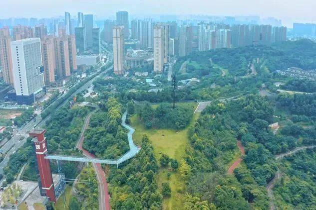 宜昌城东公园里,藏着属于极限运动大神的宝藏_自行车_城市_落叶