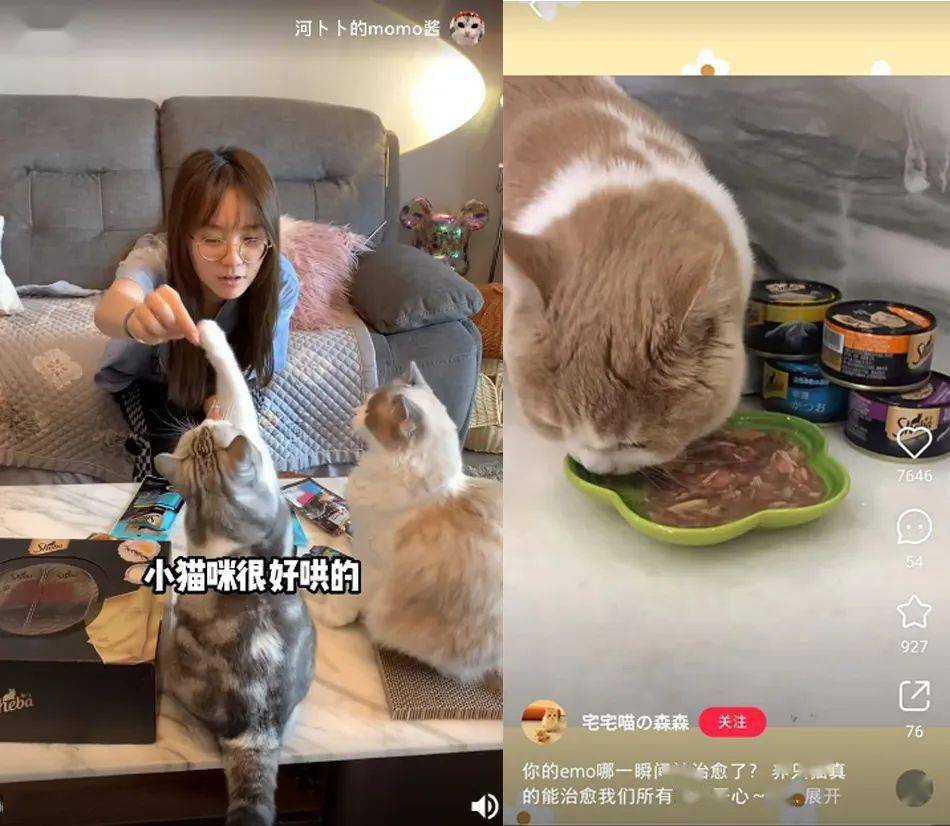 爆款短视频刷屏,抢占用户心智