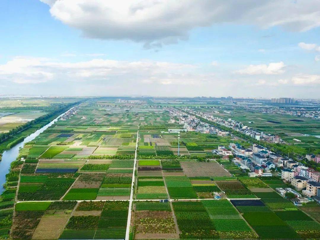 集中连片的美丽田园成片农田肌理八工段直河总长6.6公里,投资1.