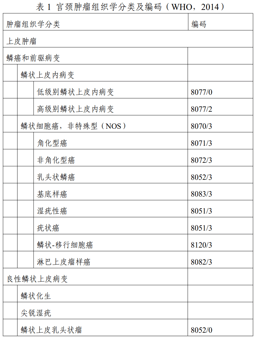 宫颈癌报告单图片