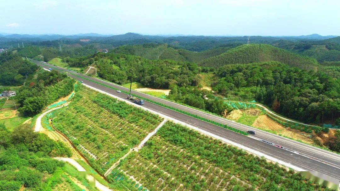 绿树碧水,一路坦途,解锁浦清高速绝美风光_远山_阡陌_龙舞