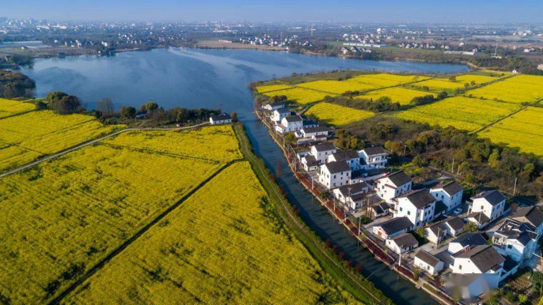 2022年中国美丽休闲乡村,七都镇开弦弓村成功上榜!_村上_江村_文化