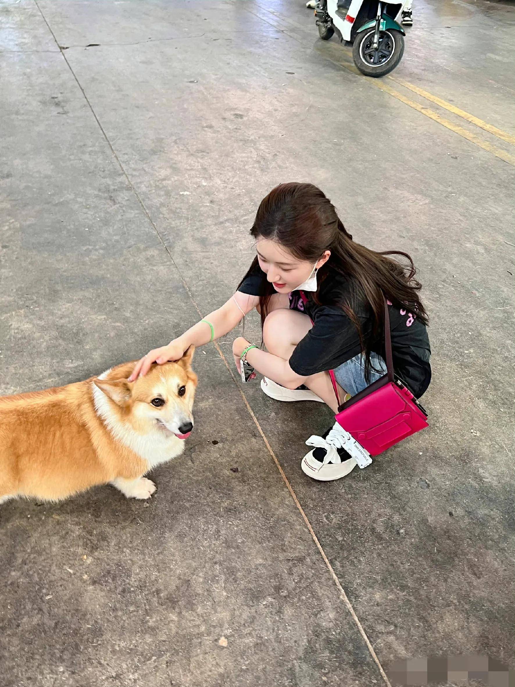 赵露思夏日出游时尚照,笑容甜美,身材火辣_榴莲_西双版纳_开心