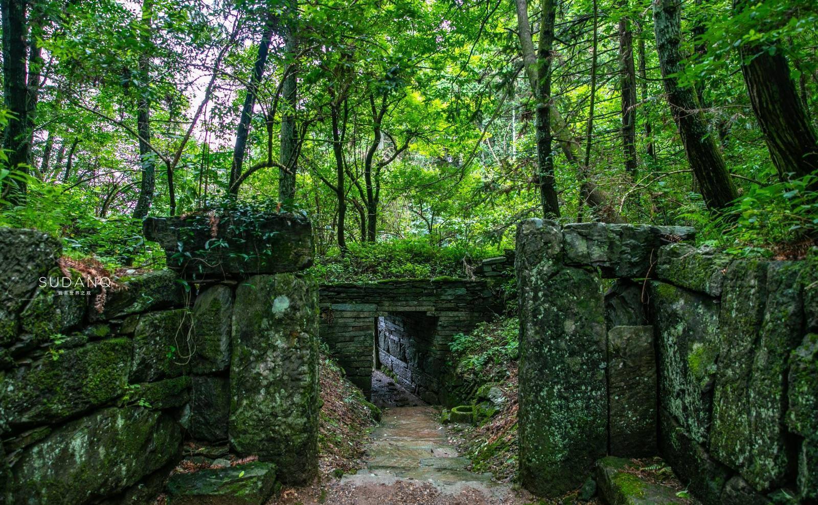 其中,古徽道在我看来就是仙寓山最神秘,最古老的一处秘境.