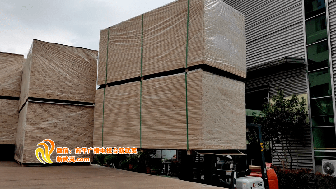 "专精特新"再启航 勇立潮头敢为先 〉格绿木业:科技创新 绿色转型