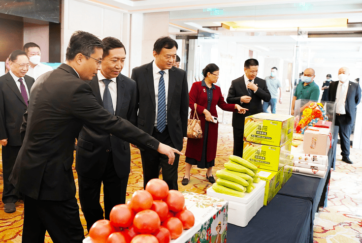 海阳市委书记刘海彬在北京发出诚挚邀约:共同开发"双碳"智谷,悦享海阳