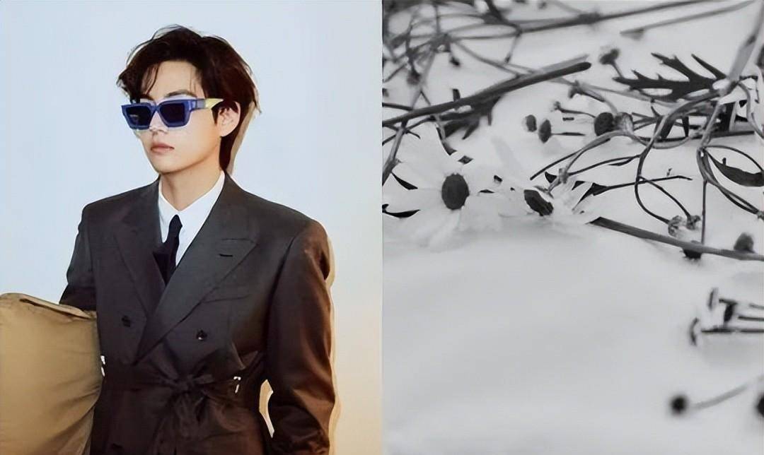 而那会儿权志龙的小号也改成了一个竖中指的头像.