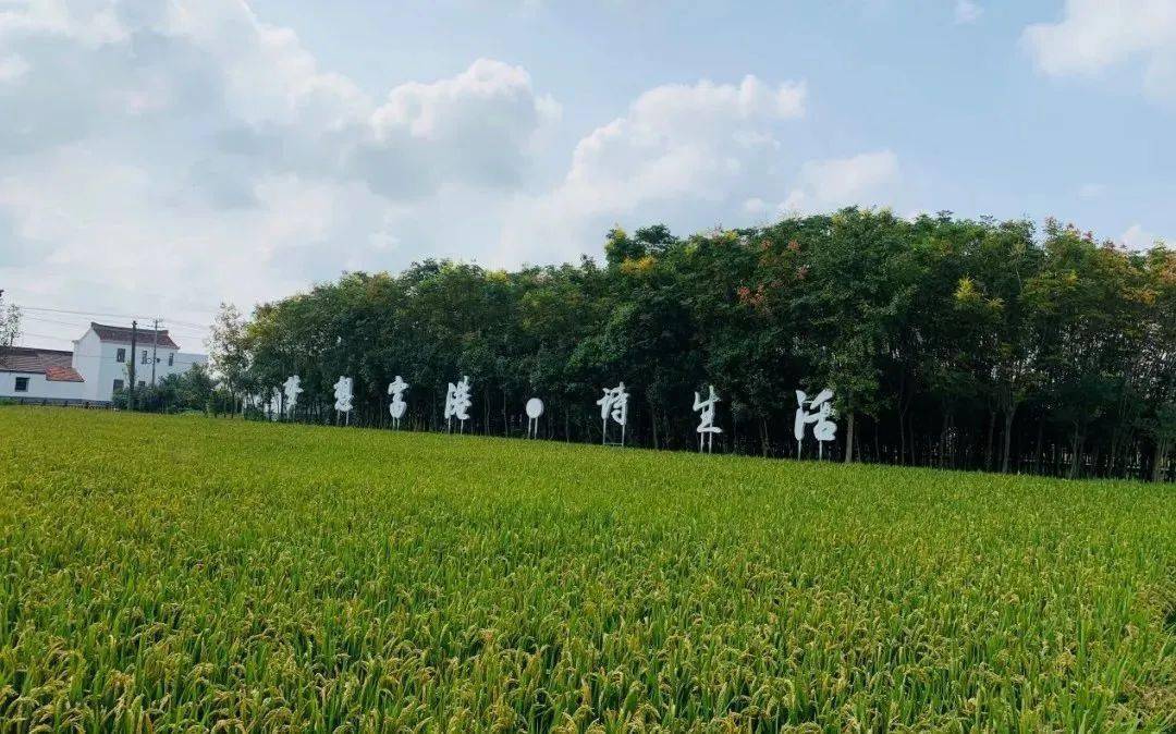 省级示范基地_休闲_富港村_建设