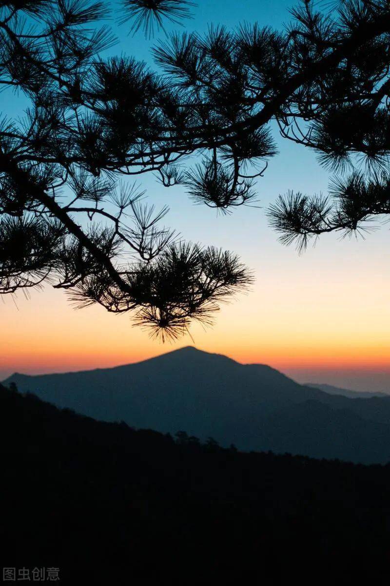 【总第1792期】郭进拴|天目山漫笔_竹林_山岭_人类