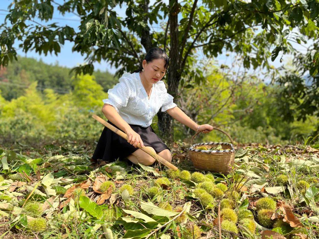 栗鄉食府