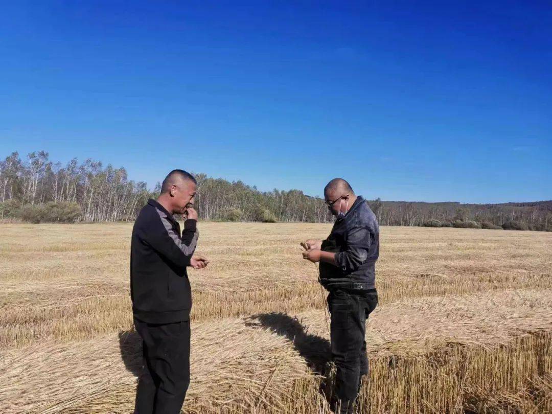 工作动态丨免渡河镇稳秋收促增产 落实农业安全生产,疫情防控责任