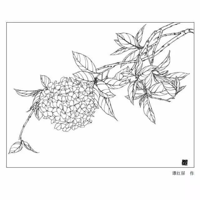 开花_海棠_国画