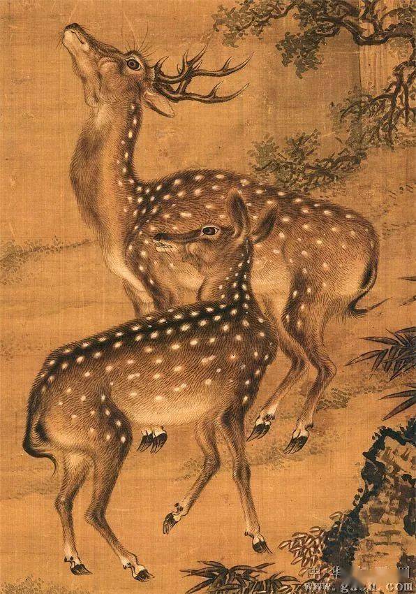 名品视界】清代沈铨花鸟画作品欣赏_搜狐网