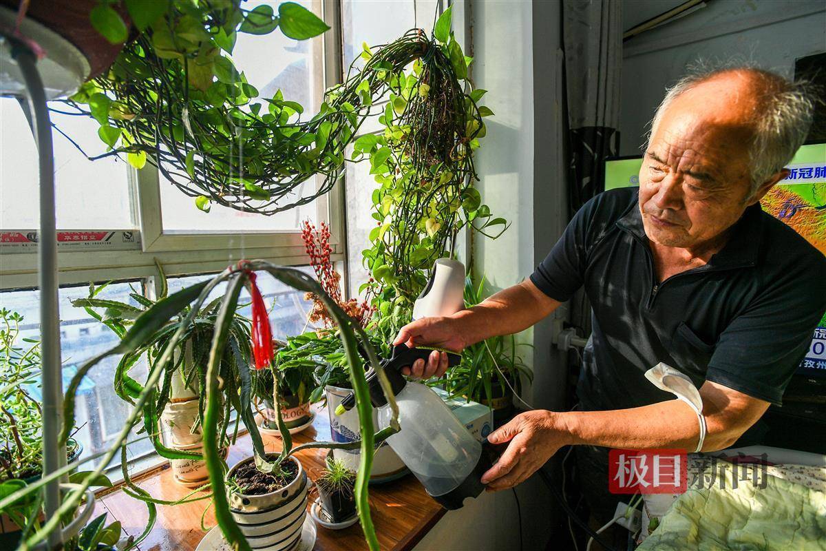 七旬爹爹照顾瘫痪老伴9年,为其打造室内"小森林"_朱义方_奶奶_桃花