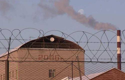 这是俄罗斯最凶残的监狱，再嚣张的犯人，进来也得“乖成猫”