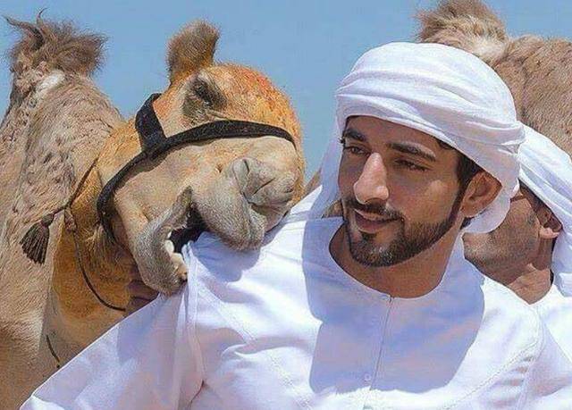 迪拜王室宠物真土豪,猛兽在哈曼丹怀里卖萌,出行时安排头等舱_王子