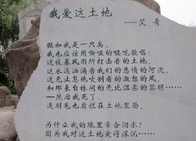 《艾青诗选》近三年中考真题考点整理汇编_示例_名著_江姐