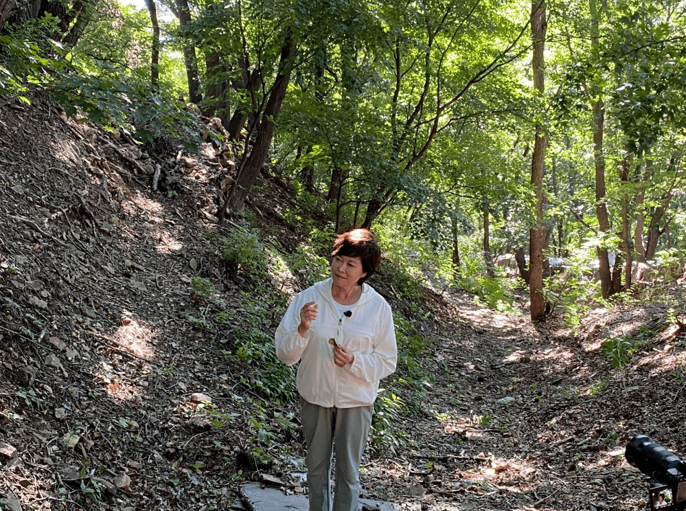 广播电视总台主持人)《秋词 》刘禹锡自古逢秋悲寂寥,我言秋日胜春朝