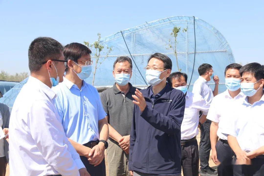 程志明先后来到南阳利他蔬菜基地,李店镇下郭村,南阳德鑫农产品实业