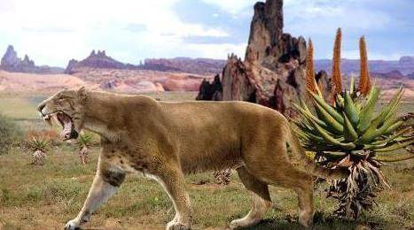 生活范围在70平方公里的中华古猫,究竟多厉害_老虎_剑齿虎_地球