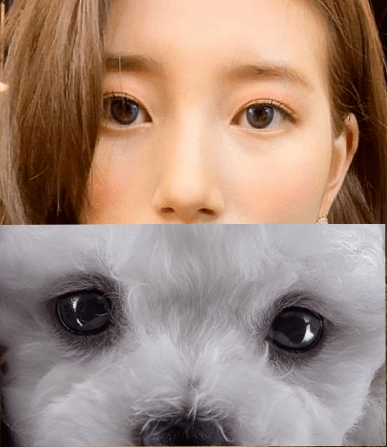 关键看这3点!_长相_jennie_动物